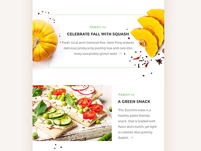 Email-Newsletter for Cultivatr.ca fall farm food recipe restaurant squash sustainable