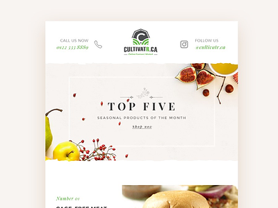 Email-Newsletter for cultivatr.ca apple design fall farm food friendly green pear recipe restaurant sustainable web