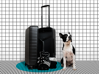 28 Days of Design: Day 11 – Away Bigger Carry-On art direction design photo styling photography