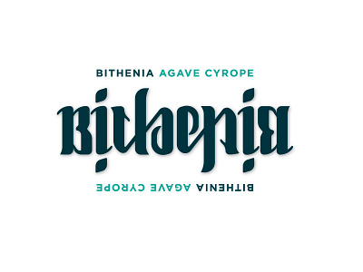 BITHENIA logo ambigram branding logo