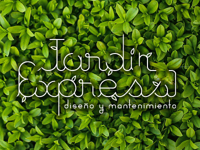 Jardín Express logo branding design logo logotype type typography