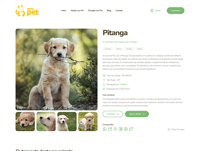 Meu Pet brasil brazil design de interfaces designer de interfaces pet petshop rio de janeiro rj ui ui designer ux ux designer