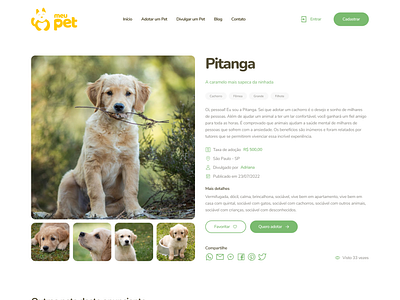 Meu Pet brasil brazil design de interfaces designer de interfaces pet petshop rio de janeiro rj ui ui designer ux ux designer