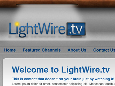 Lightwire logo in website header 3d design logo design shelf design website