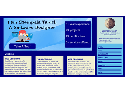 Software Engineer's Website design illustration landing page portfolio software engineer ui web designer website