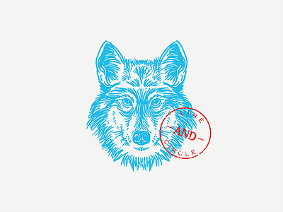 Wolf drawing hand drawn head illustration wolf