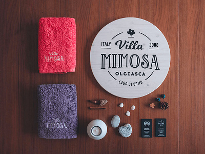 Villa Mimosa logo & interior photography apartmant italy logo logo badge lombardy photography typographic logo typography villa