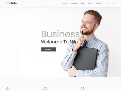 TheNile – Multipurpose HTML Template