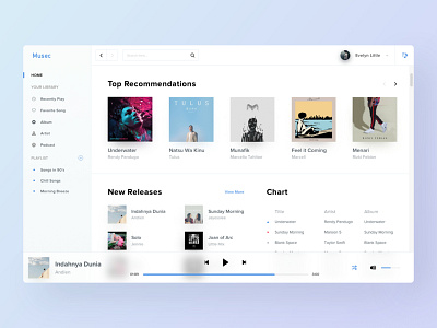 Musec - Music Player Exploration