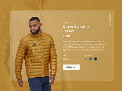 Patagonia Jacket jacket product card product page ui ui design