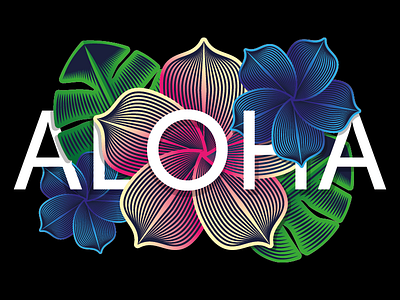 Aloha 3