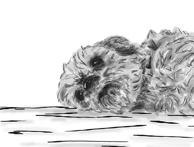 Dogs Deep Thoughts dogs illustration procreate sketching