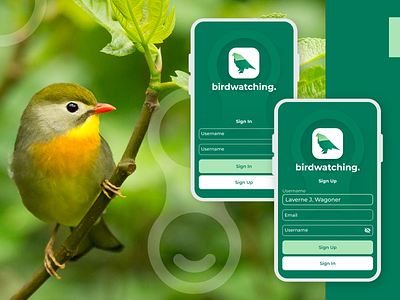 Birdwatching App Concept, Sign In - Sign Up logo ui