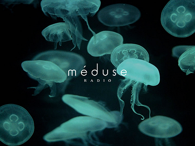 méduse logo logotype meduse radio sea