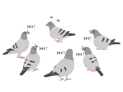 Can Pigeons Fart?