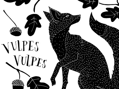 Vulpes Vulpes contrast forest fox handlettering illustration lettering nature outdoors tree typography wild wildness