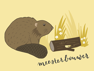 Beaver animals beaver delta handdrawn holland illustration nature netherlands river type