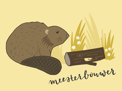 Beaver