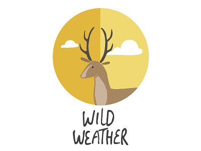 Wild Weather - Splash screen