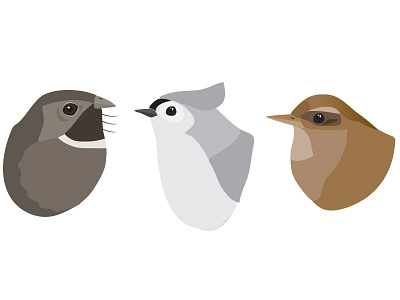 Birds app bird handdrawn illustrated illustration ios nature outdoors sing sound vector
