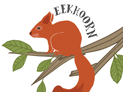 Squirrel editorial forest handdrawn handlettering illustrated illustration lettering nature outdoors vector wild woods