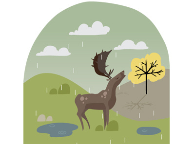 A stag on a rainy day