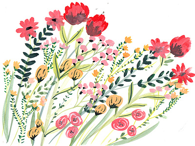 Flowers IV botanical floral flower gouache handdrawn illustrated illustration paint painting summer