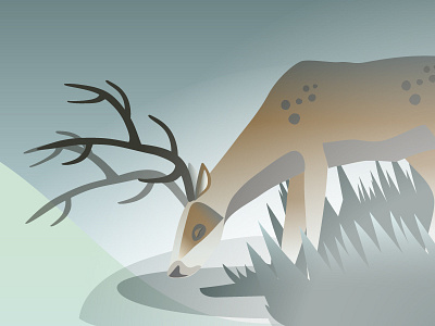 Mist app forest gradient illustration illustrator ios layers mist nature vector