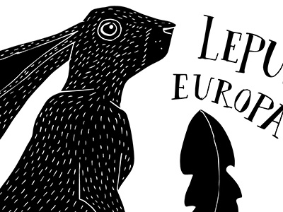 Hare black contrast handdrawn handlettering illustrated illustration lettering nature silhouet white wild