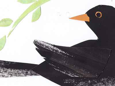 Blackbird animals birds collage hand drawn illustration illustrator layers nature outdoors texture wildlife