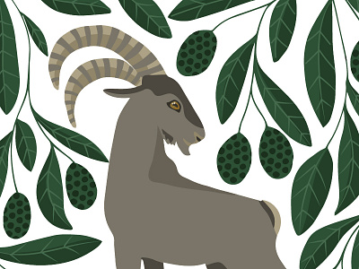 Iberian ibex