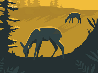 Where the wild deer roam adventure animals deer explore forest landscape mountains nature outdoors wild woods