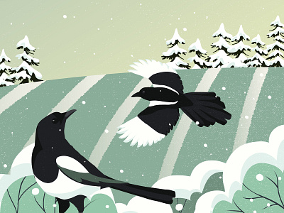 Magpies and snow bird illustration illustrator landscape landscape illustration nature snow texture vector illustration vintage winter