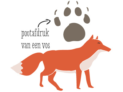 Fox fox hand drawn illustrated illustration nature outdoors paw print prints