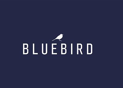 BlueBird - Concept Logo branding concept design fun idea illustration logo