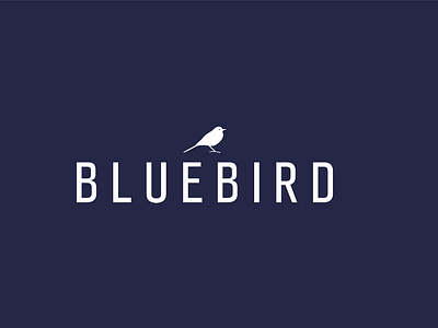 BlueBird - Concept Logo