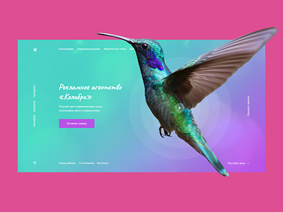 Colibri marketing agency v.2 bird colibri fly