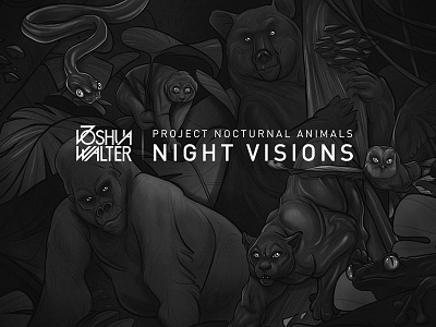Nocturnal Animals Artwork album black cd drawing illustration joshua walter logo music nocturnal animals visual album
