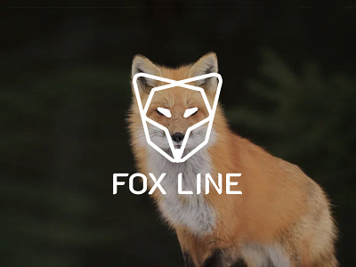 Fox Line logo, brand identity design