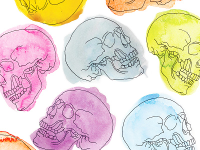 Skull Pattern illustration skulls watercolor