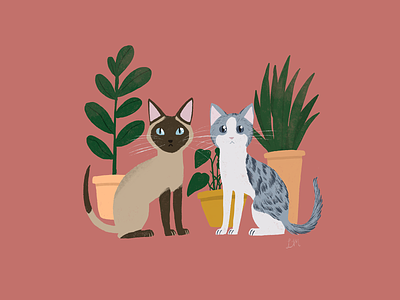 Maui & Merlin animals cats illustration maui merlin plants potted plants procreate two cats