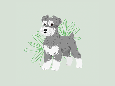 Doggust 2020 | Miniature Schnauzer animals digital art doggust illustration procreate