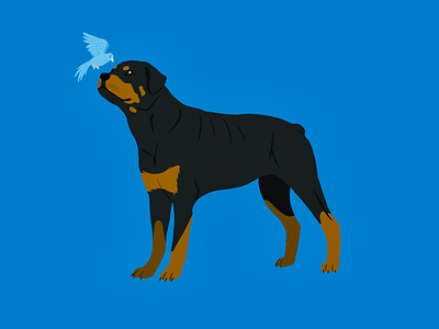 Rottweiler | Doggust 2019 bird digital art dog challenge doggust doggust2019 flat art procreate rottweiler