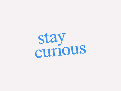 Stay Curious design quote type type art typo typography vector