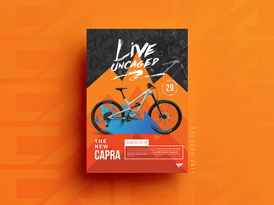 Dribbble capra