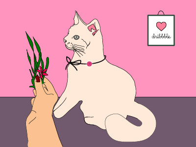 Hello Dribbble !!! cat illustration