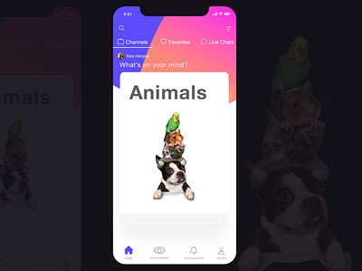 Talk app ios mobileapplication ui ux