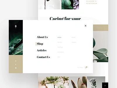 Botany branding design ecommerce plants ui ux web website