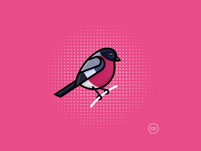 Pink Finch bird cute finch illustration outline pink vector wildlife