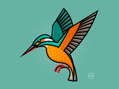 Kingfisher bird cute flat illustration kingfisher outline vector wildlife